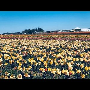 Meet your Posher, Hailey